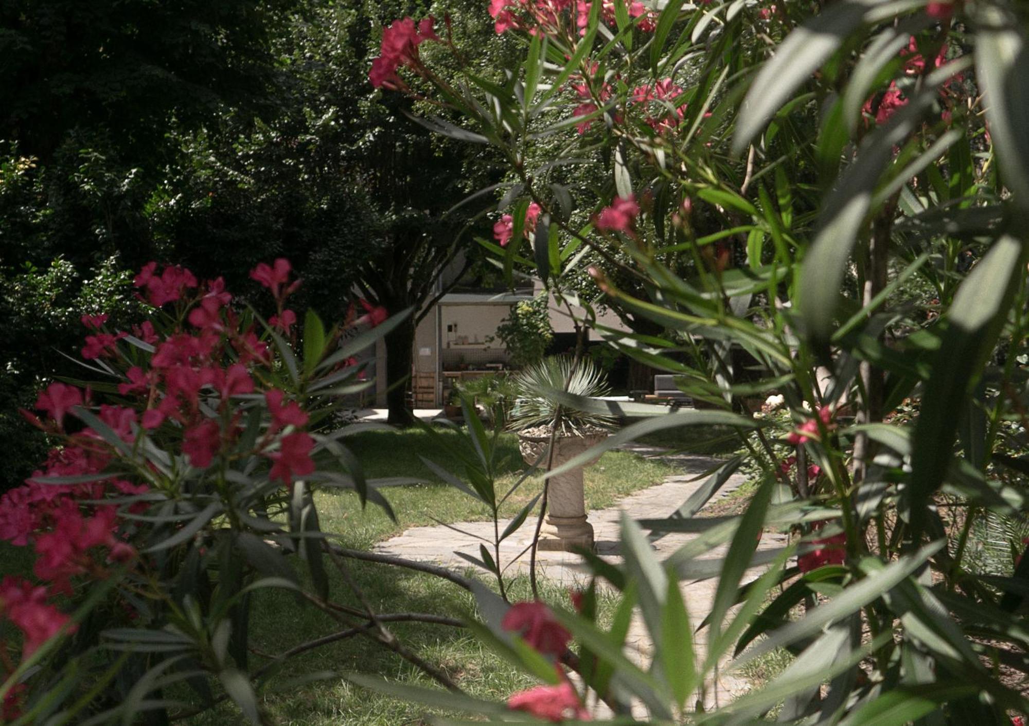 Residence Midi Mazamet Esterno foto