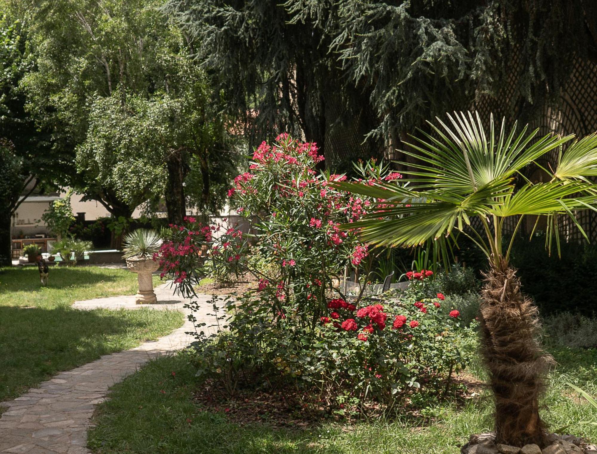 Residence Midi Mazamet Esterno foto